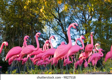 Flock Of Very Pink Plastic Flamingos In The Forest.