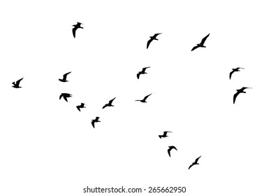 16,841 Dove sun Images, Stock Photos & Vectors | Shutterstock