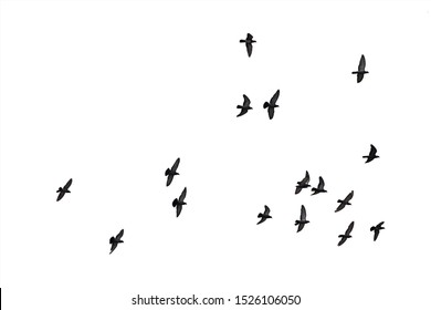 Flock Flying Birds Vector Stock Vector (royalty Free) 1044477274 