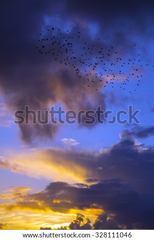 Similar – Migratory birds in the evening sky