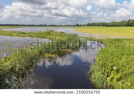 Flood after heavy rain in the floodplain of the river Alster with grassland and reed in July near Wakendorf II in Schleswig-Holstein, Germany.



