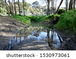 Flood damage to the river berm at Melling Bridge, Hutt Valley, New Zealand