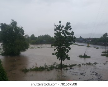 flood in thailand