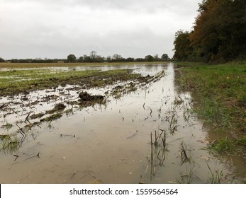 Flood Water On UK Farmland. Damaged Crops And Land Caused By Seasonal Weather.