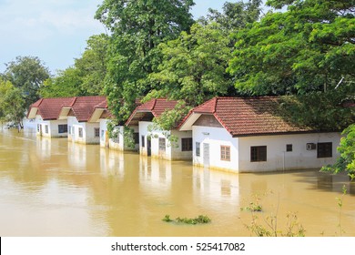 Flood Zone