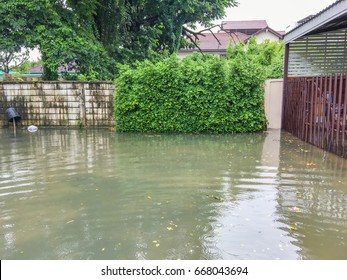 Flood Zone