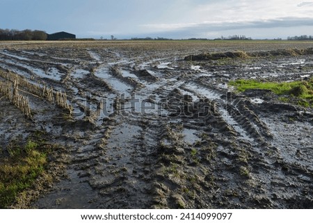 A flooded agricultural field due to heavy rainfall in winter in The Netherlands