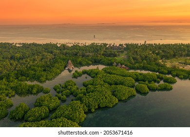 Flooded Amazonian Rainforest In Negro River At Sunset Time, Amazonas, Brazil