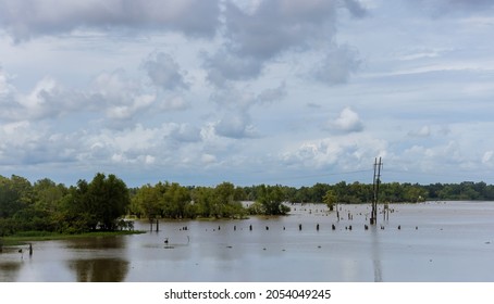 Flooded area of field and forest due to flood field landscape