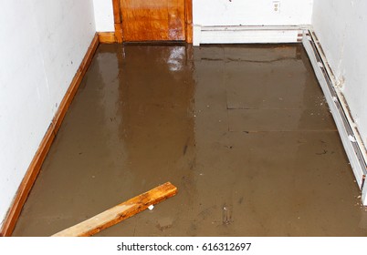 Flooded basement, suitable for contractors or basement renovation specialists