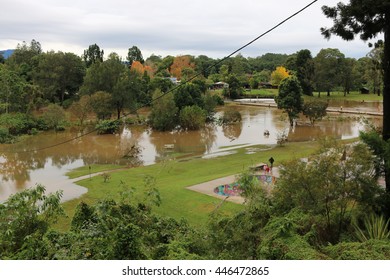 Flooded Bellinger River 2016