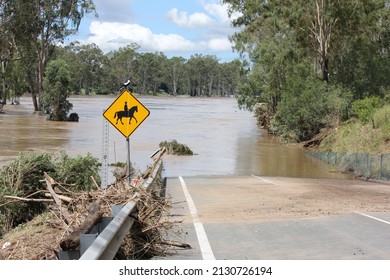 Flooded Brisbane River at Colleges Crossing, Ipswich, Queensland, Australia 1st March 2022