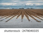 flooded farmland after a downpour, agricultural damage caused by a natural disaster