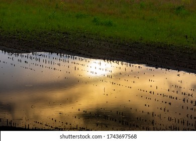 Flooded Farmland In Chesterfield Missouri