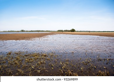 Flooded Farmland In Rural Missouri