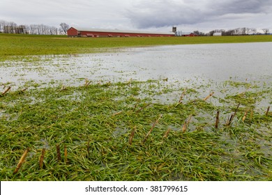 Flooded field with chicken house on farm after winter storm