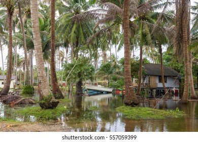 Flooded field with palm trees and a small boat and houses on the background in the island of Koh Phangan, Thailand. Climate change consequence, insurance concepts