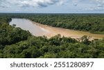 FLOODED FORESTS OF THE PERUVIAN AMAZON ON THE BANKS OF THE NANAY RIVER INSIDE THE ALLPAHUAYO MISHANA NATIONAL RESERVE