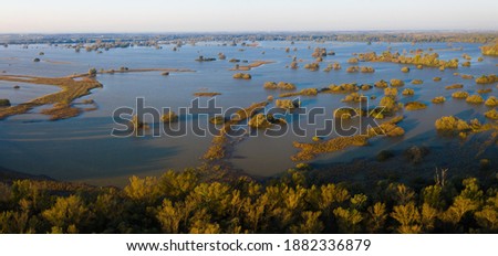 Flooded inundation of Moravia river with water outside riverbanks. Aerial view of water standing on floodplain meadows and between trees. Morning sun illuminating nature scenery.