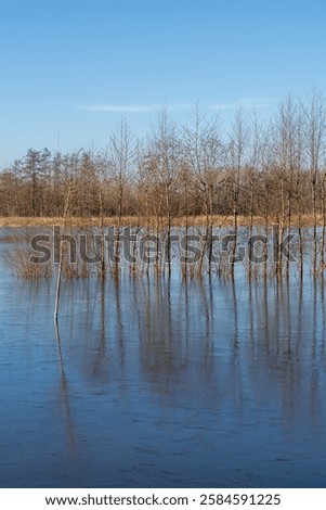 Similar – Image, Stock Photo bare tree reflected in blue lime lake, former limestone quarry