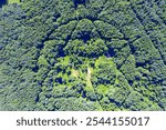 Flooded nuclear missile silos in an abandoned military compound in dense forest. Silos are arranged in a star shape. View from above