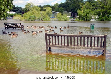 Flooded parkland at Henley on Thames during the UK floods of summer 2007
