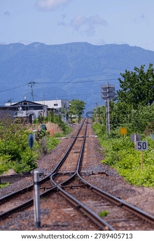 Flooded rice fields with neat rows of young rice plants creating patterns across the rural landscape of Japan