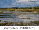 Flooded rice fields reflect a cloudy sky in the high plateaus of Madagascar. The agricultural scene includes distant hills and a small village under a dramatic cloud cover. Antsirabe, Madagascar