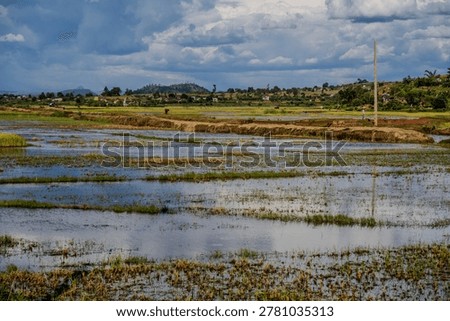 Flooded rice fields reflect a cloudy sky in the high plateaus of Madagascar. The agricultural scene includes distant hills and a small village under a dramatic cloud cover. Antsirabe, Madagascar