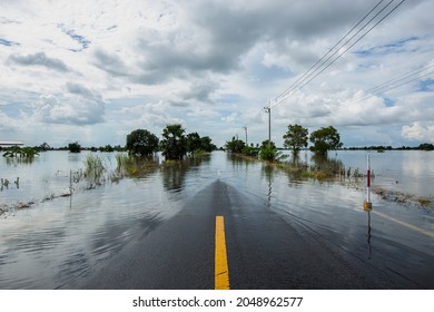 The flooded rural roads of Thailand due to the rainstorm Tien Mu swept through Thailand and brought heavy rain.