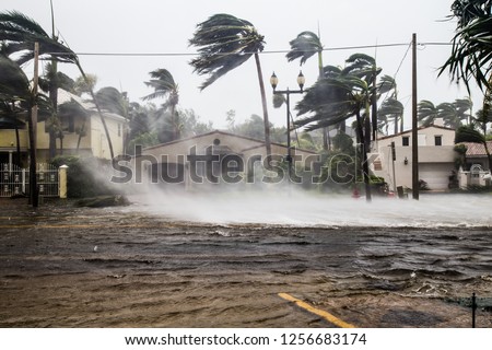 A flooded street after catastrophic Hurricane Irma hit Fort Lauderdale, FL.