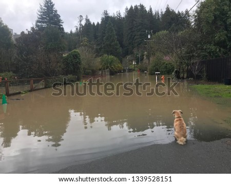 Flooded street in Guerneville Feb. 27th 2019