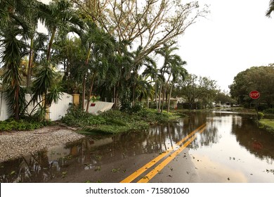 Flooded Streets Of A Residential Neighborhood In Fort Lauderdale, Florida, As Seen On The Morning After Hurricane Irma Comes Through The City. 