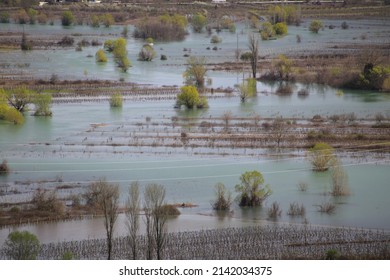 Flooded vineyards in the south of Croatia