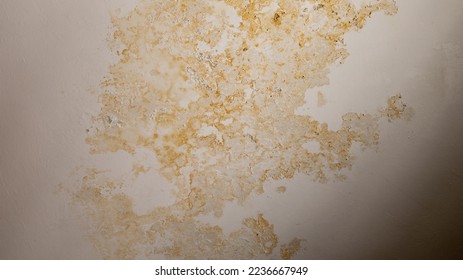 Flooding rainwater, causing damage, peeling paint and mildew. - Shutterstock ID 2236667949