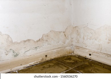 Flooding rainwater or floor heating systems, causing damage, peeling paint and mildew. - image