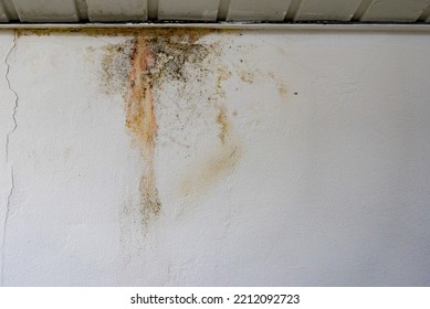 Flooding rainwater or floor heating systems, causing damage, peeling paint and mildew. - Shutterstock ID 2212092723