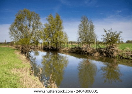 Floodplain along the IJssel near Voorst