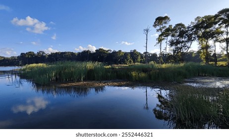 Floodplain forest Protected area Igneada Longoz National Park. Kırklareli city Turkey (İğneada, igneada, demirköy, demirkoy, Kırklareli, kirklareli, Bulanik Deresi)