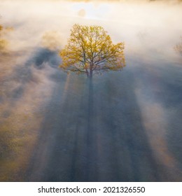 Floodplain Of The River Prypiac' (Prypiat) In The Morning