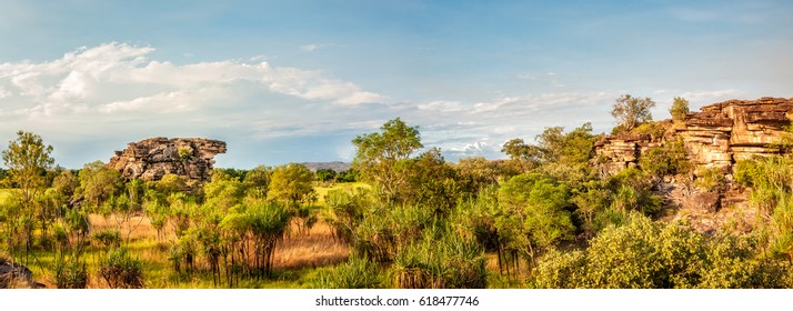 Floodplains in Kakadu National Park Panorama - Northern Territory, Australia.
At the beginning of the dry season, everything is green, the weather is perfect. This makes Kakadu a great place to visit.