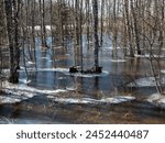Floods and ice in a springtime forest in Kempele, Finland