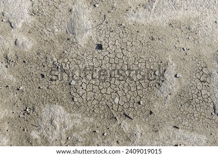 A floor of dry cracked sand. Vector sand texture background