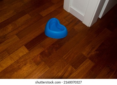Floor of a light wooden house with a blue heart-shaped bowl for cats on top.