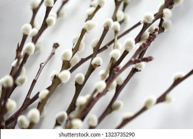 flora, plants and easter concept - close up of pussy willow branches on white background - Shutterstock ID 1323735290
