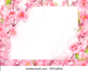 Floral Abstract Pastel Background Copy Space Stock Photo 787518331 ...