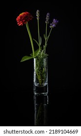 Floral Arrangement Of Lavender Stems And Red Blooming Flower Placed In Tall Shot Glass On Black Background