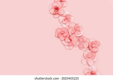 Floral arrangement with small pink Hydrangea flowers, natural floral flat lay in summer seasonal style. Minimal monochrome top view with copy space. - Powered by Shutterstock
