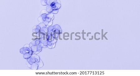 Floral arrangement with small puple Hydrangea flowers, natural floral flat lay in summer seasonal style. Minimal monochrome top view with copy space.