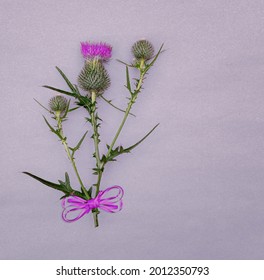 Floral Arrangement Of Thorny Field Plants On A Gray Background With A Place For Design. 